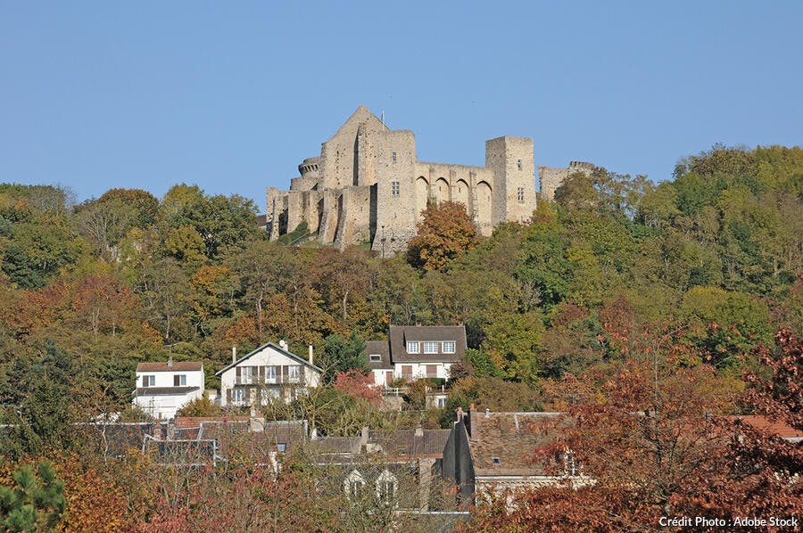 Chateau de La Madeleine