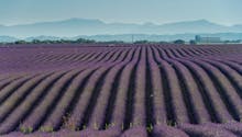 Les 10 plus beaux paysages à découvrir en Provence