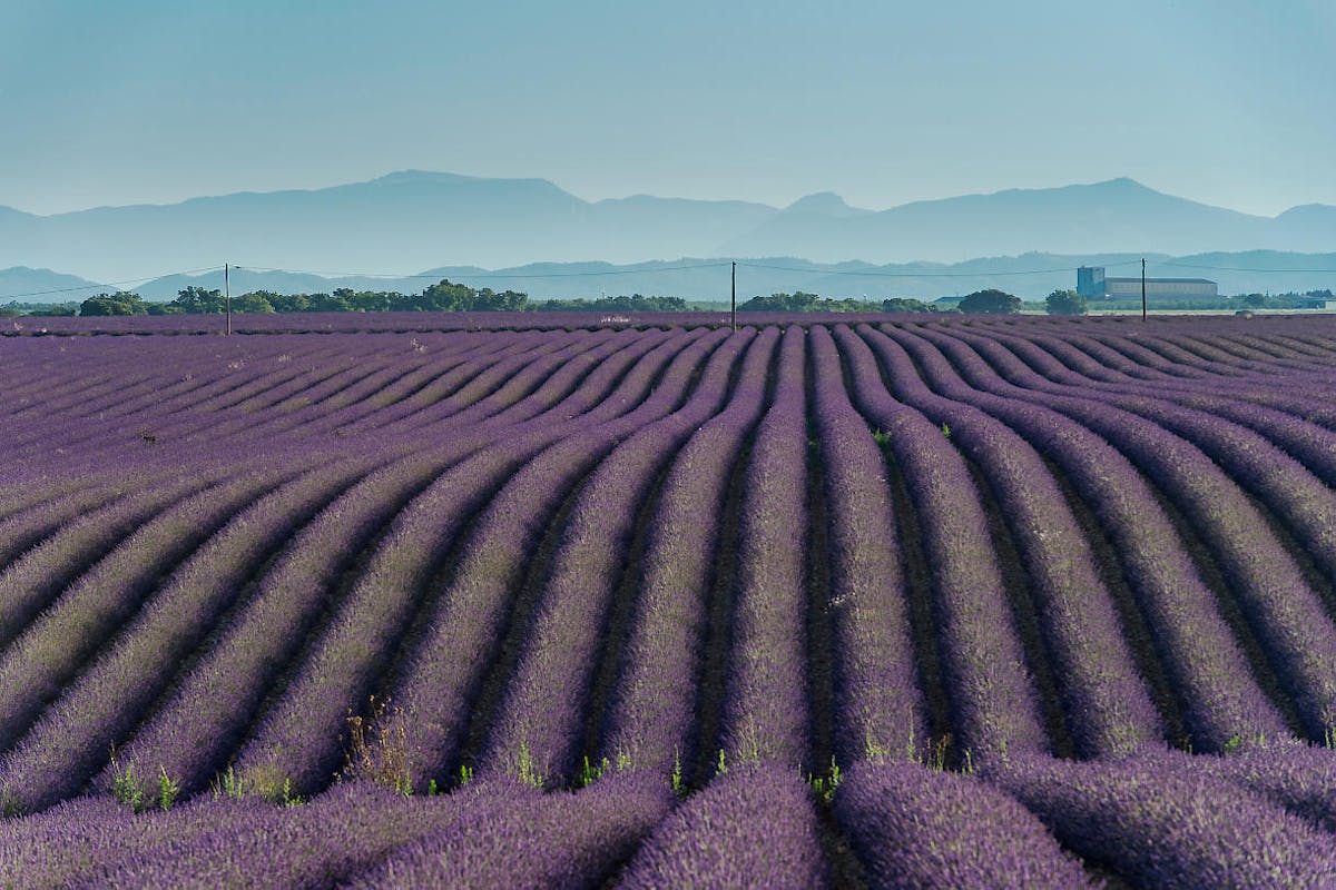 Paysage de provence