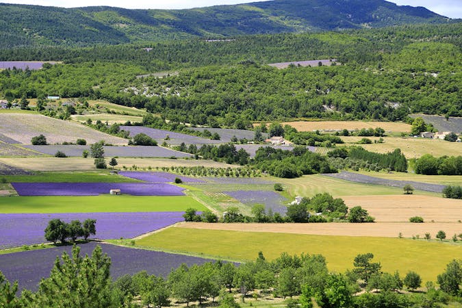 15 lieux à visiter en Provence cet été