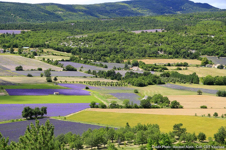 La plaine de Sault