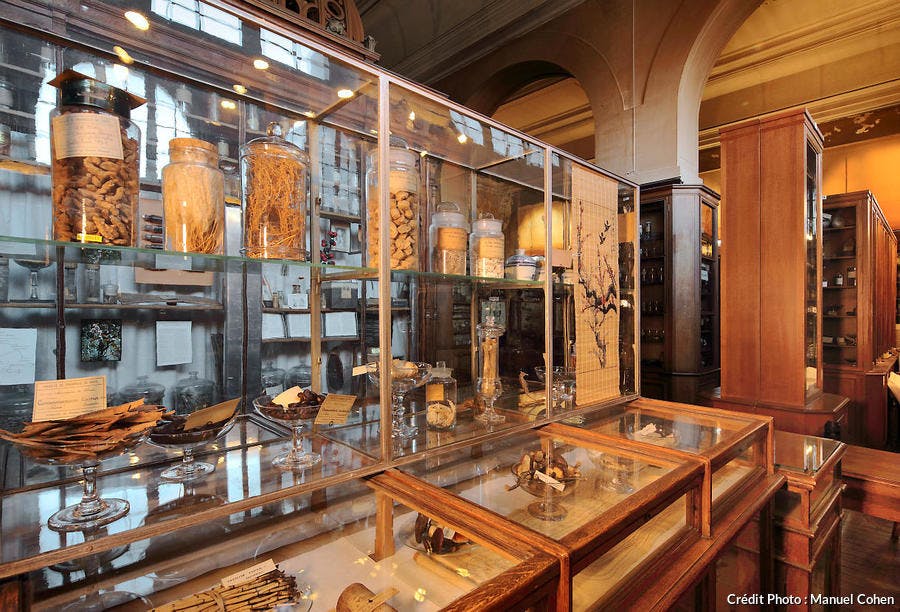 Substances médicinales exposées dans le musée François-Tillequin, à Paris