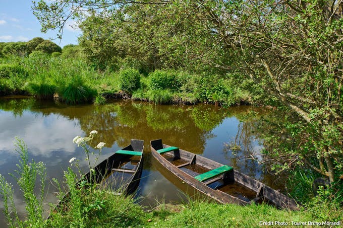 Barques dans le Parc Naturel Régional de Brière (Loire-Atlantique)