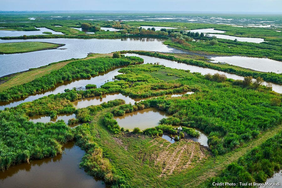 Parc Naturel Régional de Brière (Loire-Atlantique)
