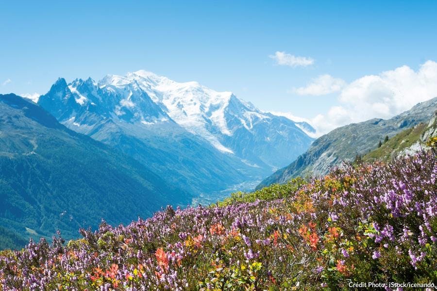 Le Mont Blanc