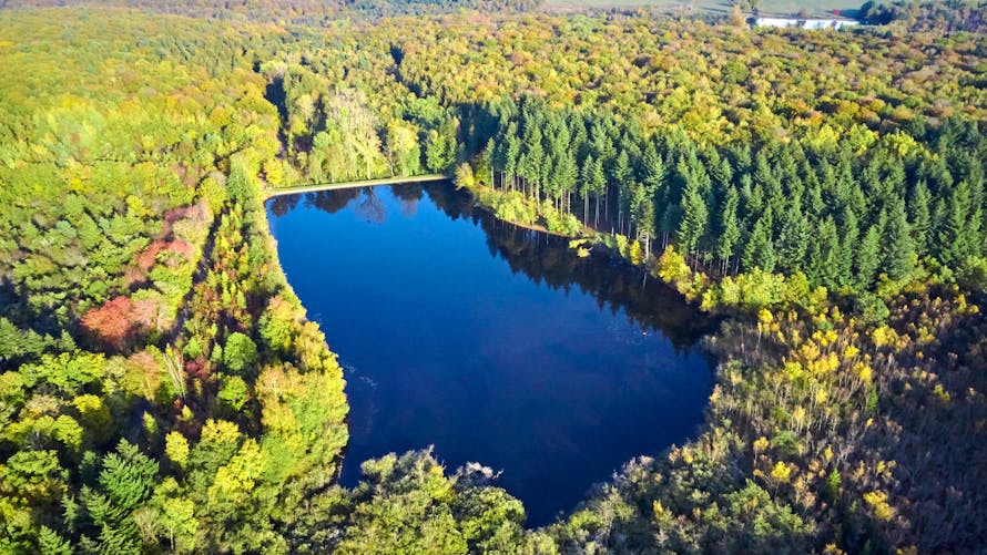 L'étang des Cloix dans le parc naturel du Morvan en Saône et Loire