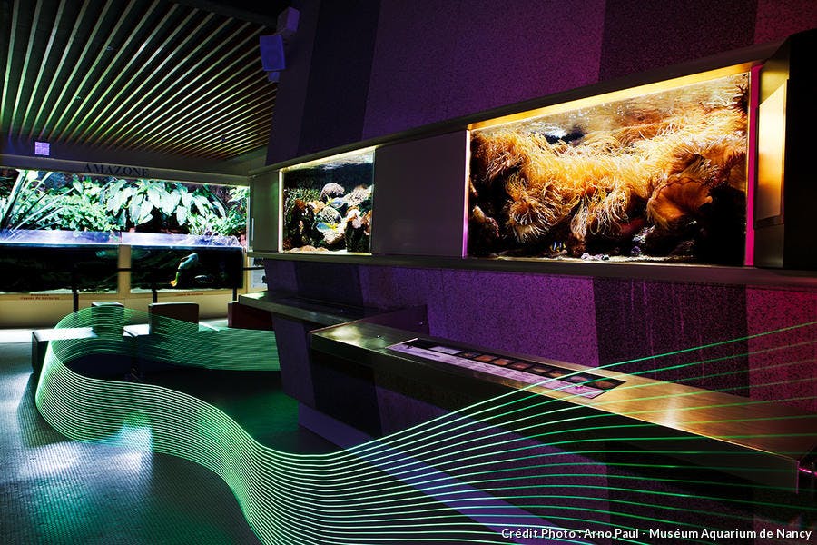 Le Museum-Aquarium de Nancy