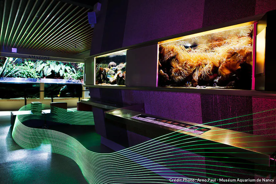Aquarium De France Le Classement 2024 TOP 15 D tours En France Aquarium De France Le Classement 2024 TOP 15 D tours En France