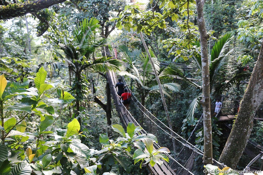 Le parc des Mamelles, à Basse-Terre, en Guadeloupe