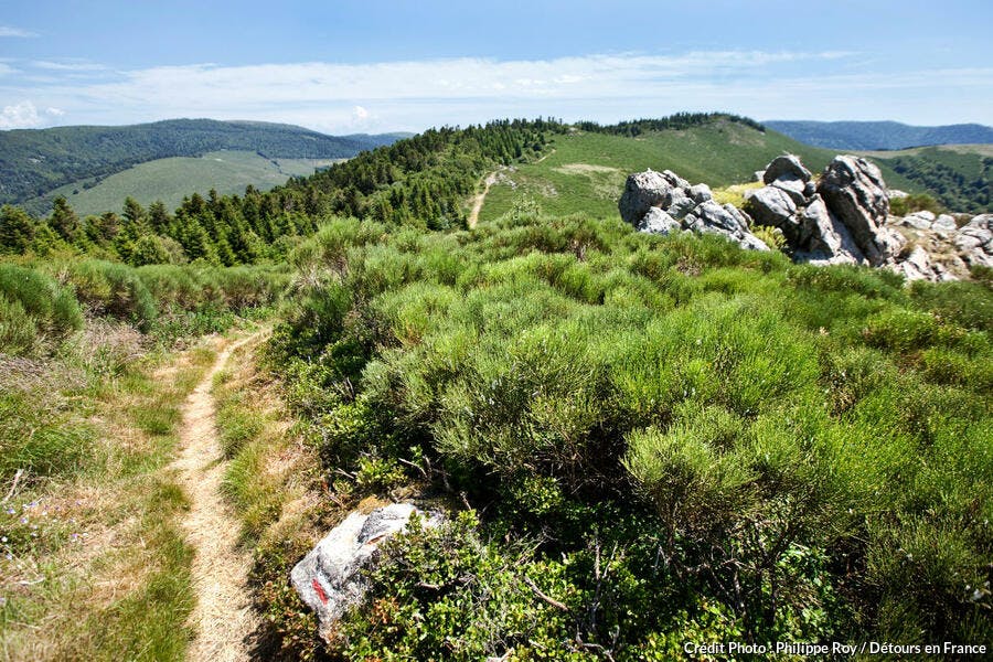 La ligne de partage des eaux sur le col de la Tanargue dans le sud-ouest de l'Ardèche