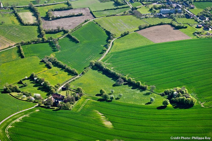 La Puisaye, paysage agricole de Bourgogne