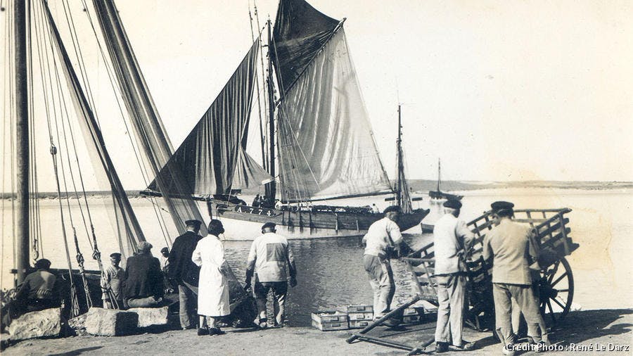 voilier thonier