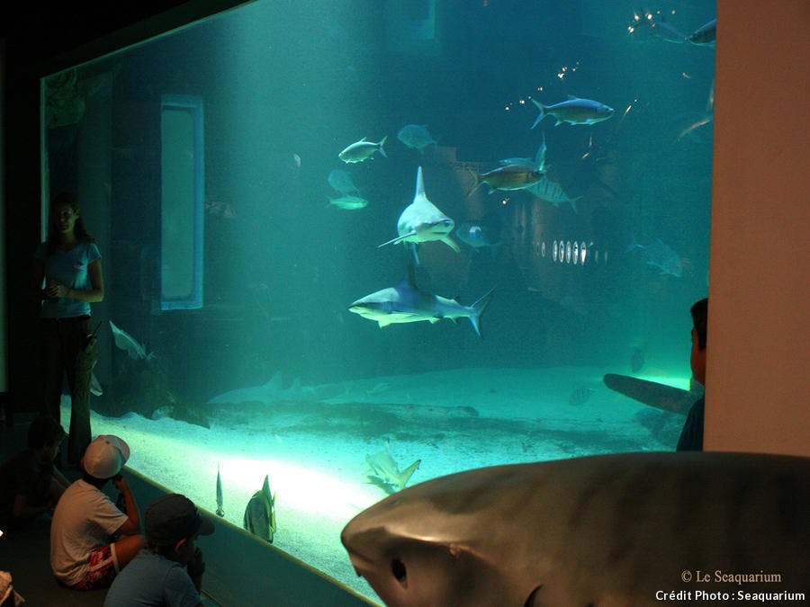 Le Seaquarium du Grau du Roi