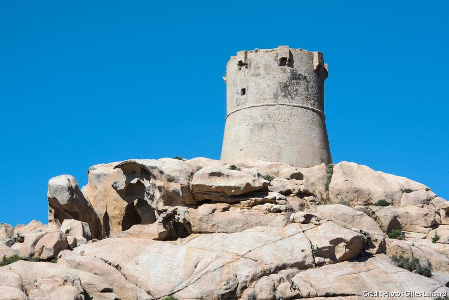 La tour Génoise de Campomoro