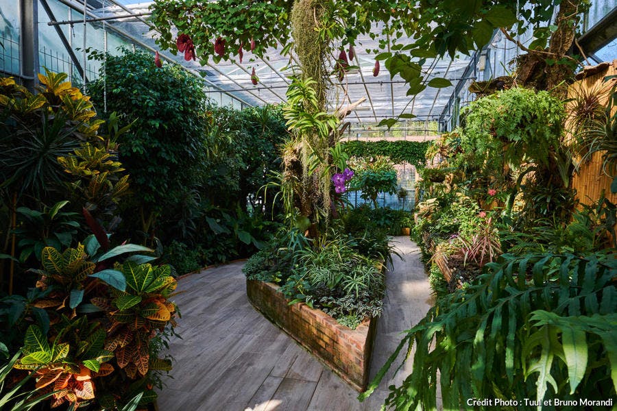 L'une des serres tropicales du parc du Moulin-à-Tan à Sens