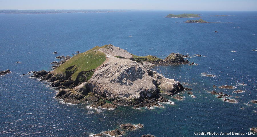 det_sept_iles_armel_deniau_030613_02.jpg