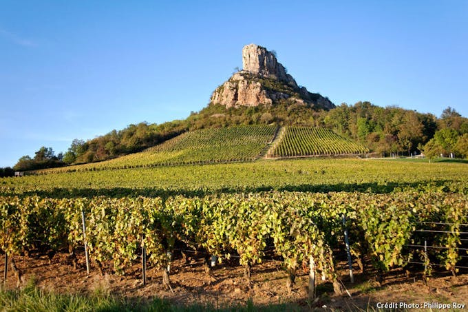 La roche de Solutré dominant le vignoble du Mâconnais, en Bourgogne