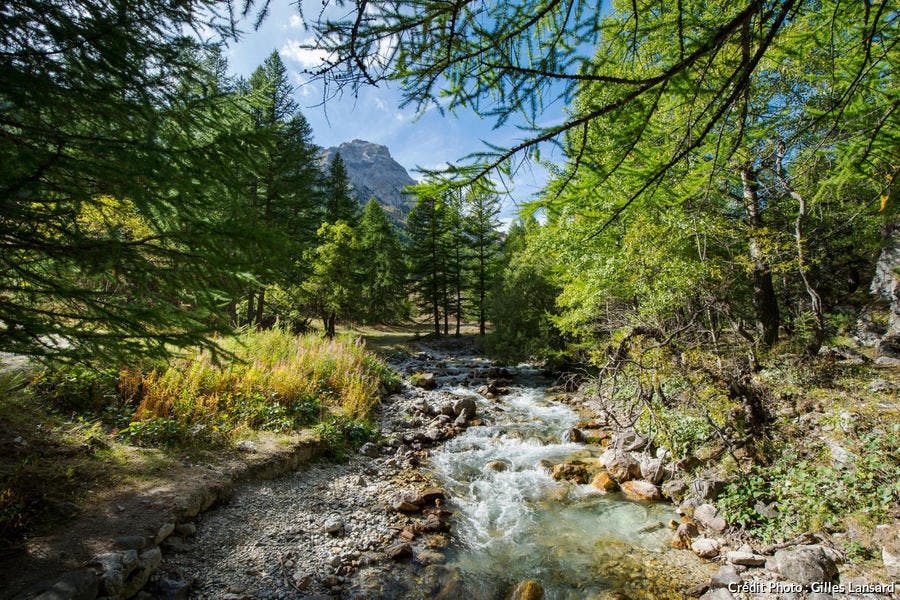 Névache, ruisseau de la vallée Étroite (Hautes-Alpes)