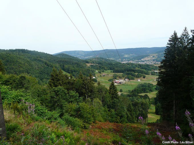 paysage des Vosges