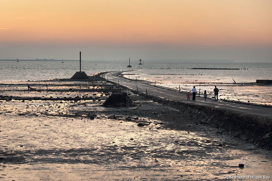 dt161_noirmoutier_le_gois_pr.jpg