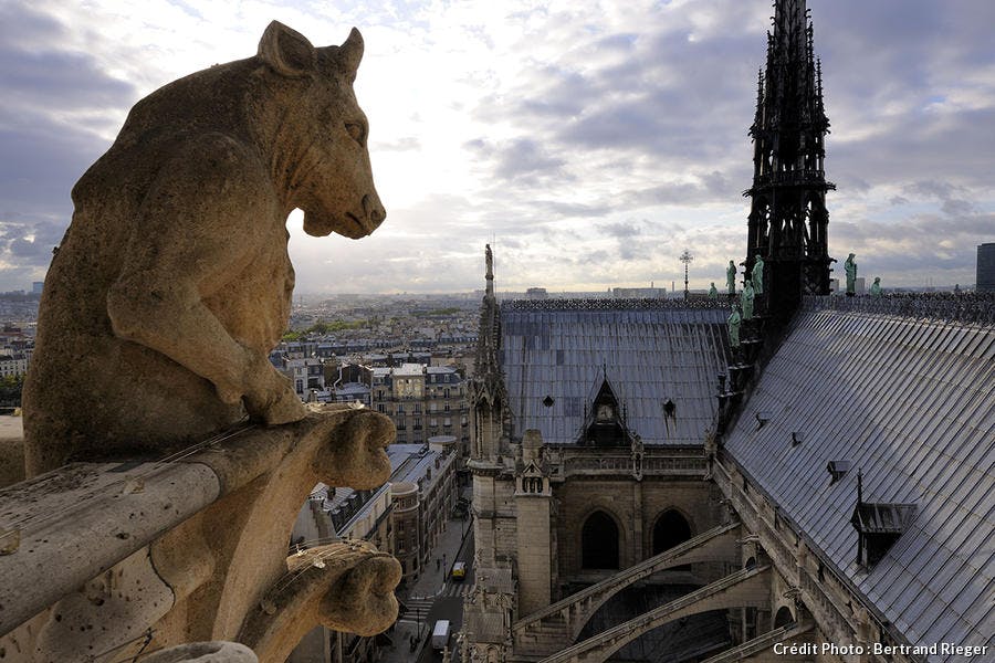 Le taureau debout
