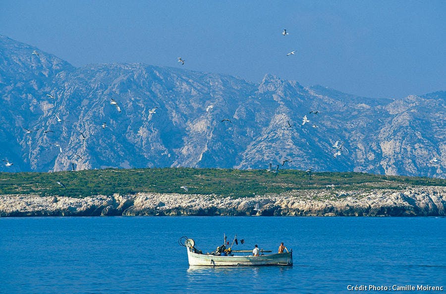 L'île de Riou
