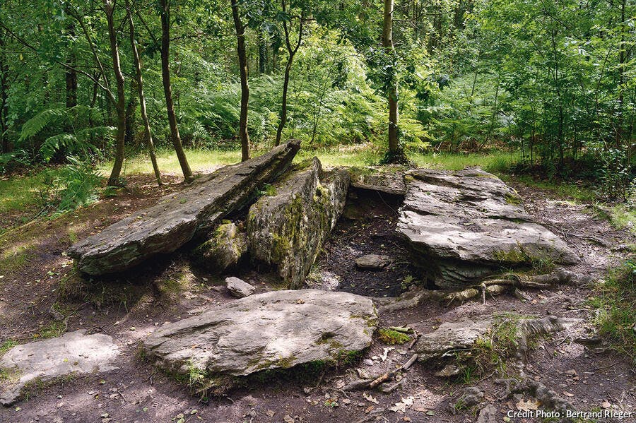 Forêt de Brocéliande - Le tombeau du géant
