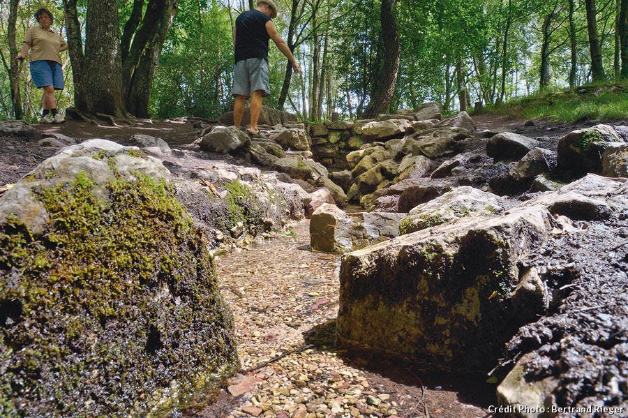 Forêt de Borcéliande - La fontaine de Barenton