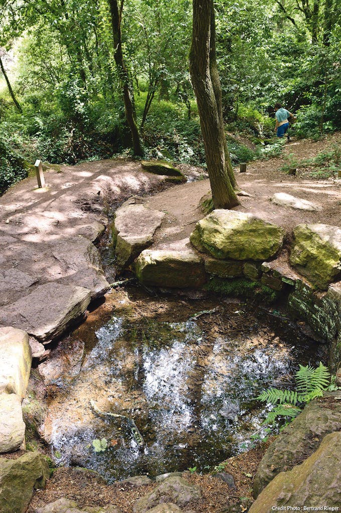 Forêt de Borcéliande - La fontaine de jouvence