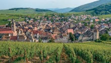 Sur la route des vins d'Alsace