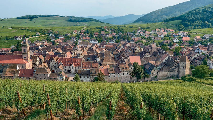 Sur la route des vins d'Alsace