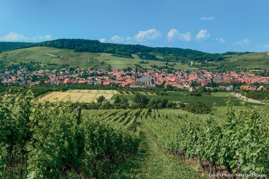 Westhoffen, village viticole. 