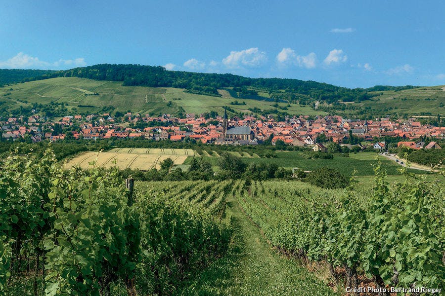 Westhoffen, village viticole.