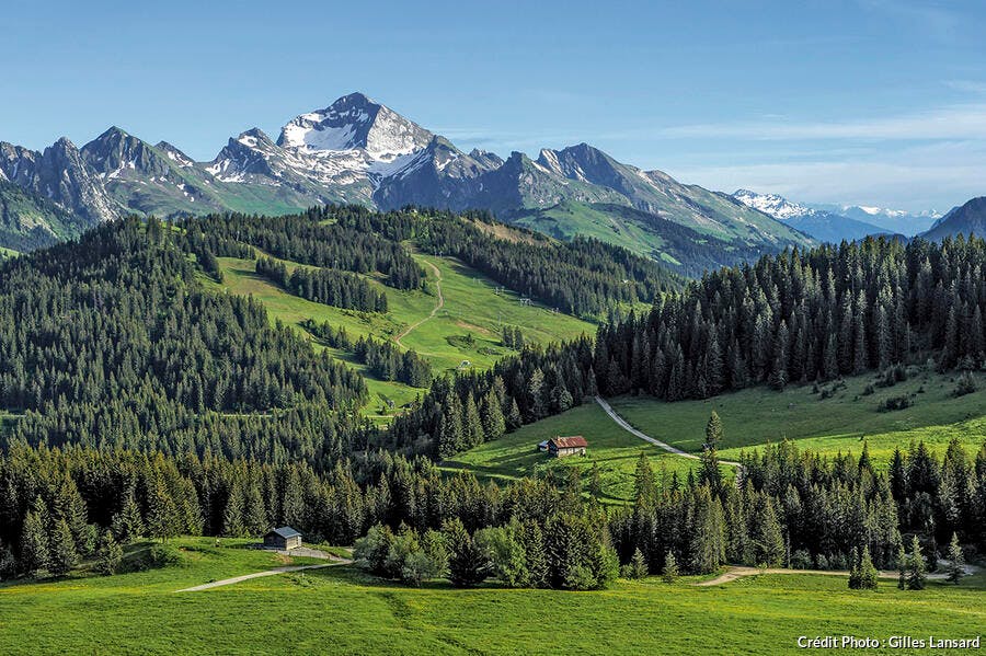 Le plateau de Beauregard