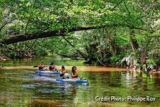 Canoë sur la Leyre