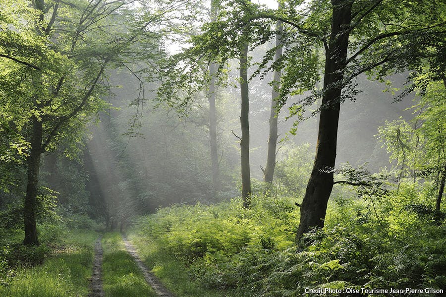 foret-de-compiegne