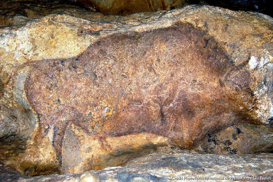 Peinture dans la grotte de Font-de-Gaume, dans le Périgord