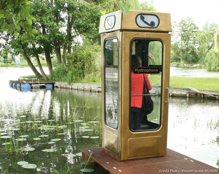 hydrophone