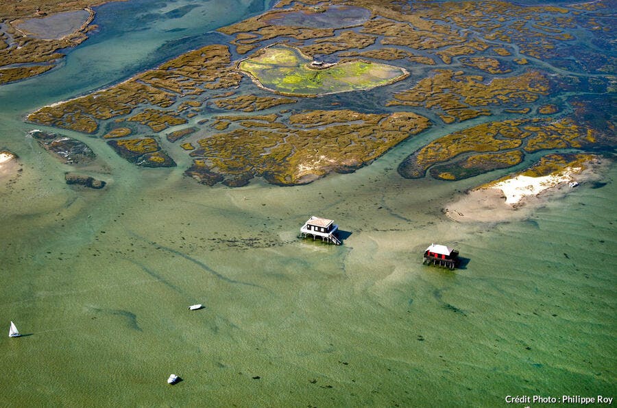 Île aux oiseaux