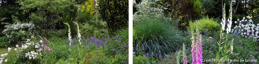 Jardins de Liliane