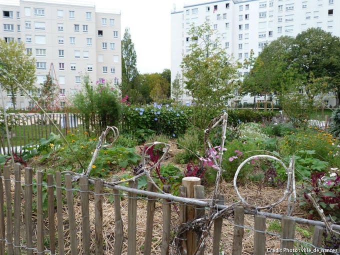 jardins_familiaux_du_clos_toreau_ville_de_nantes