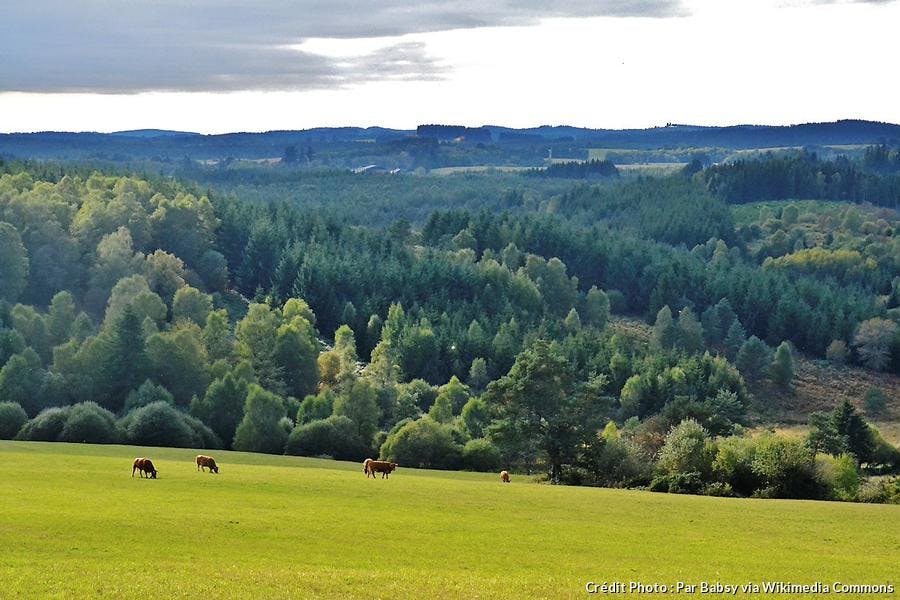 la-creuse-plateau-de-millevaches.jpg