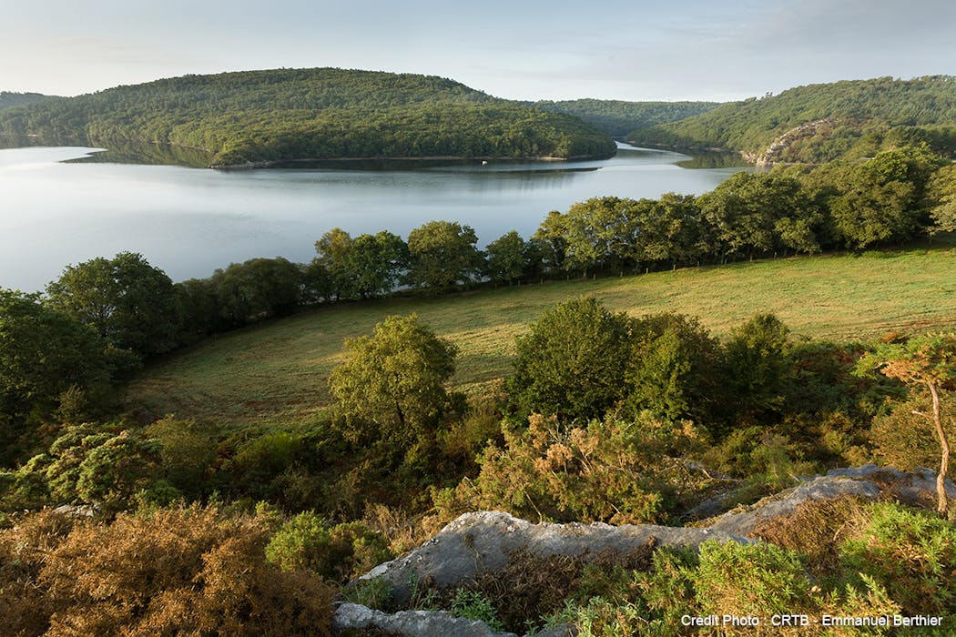 Le Lac de Guerlédan entouré de de forêt
