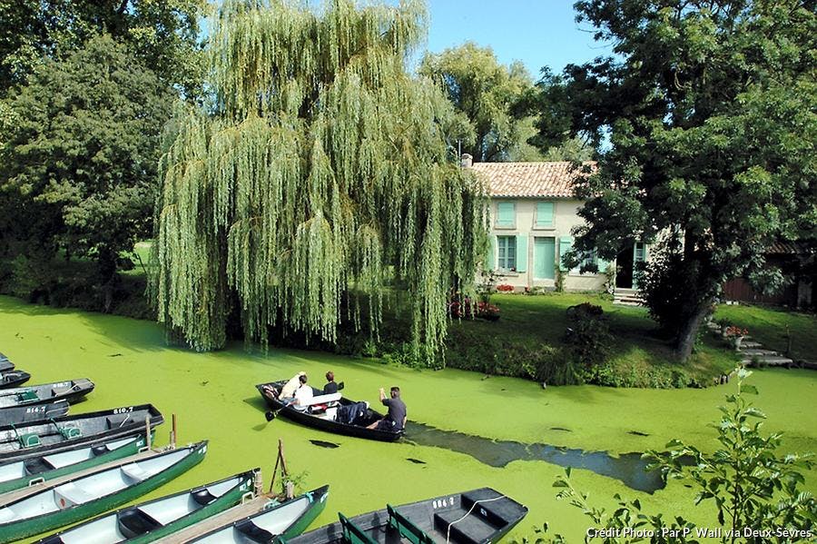 marais_poitevin_en_barque_arcais-p.wall_.jpg.jpg