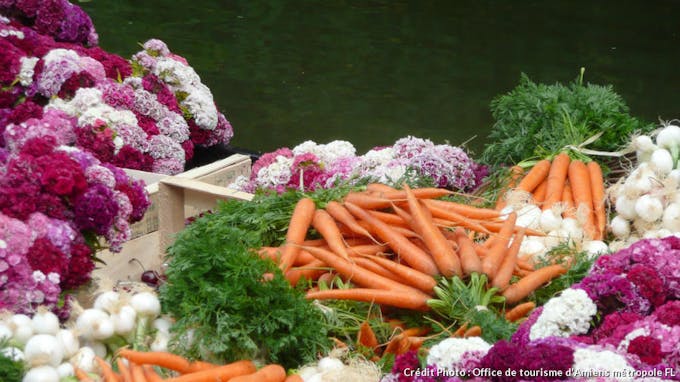 Légumes et fleurs des Hortillonnages