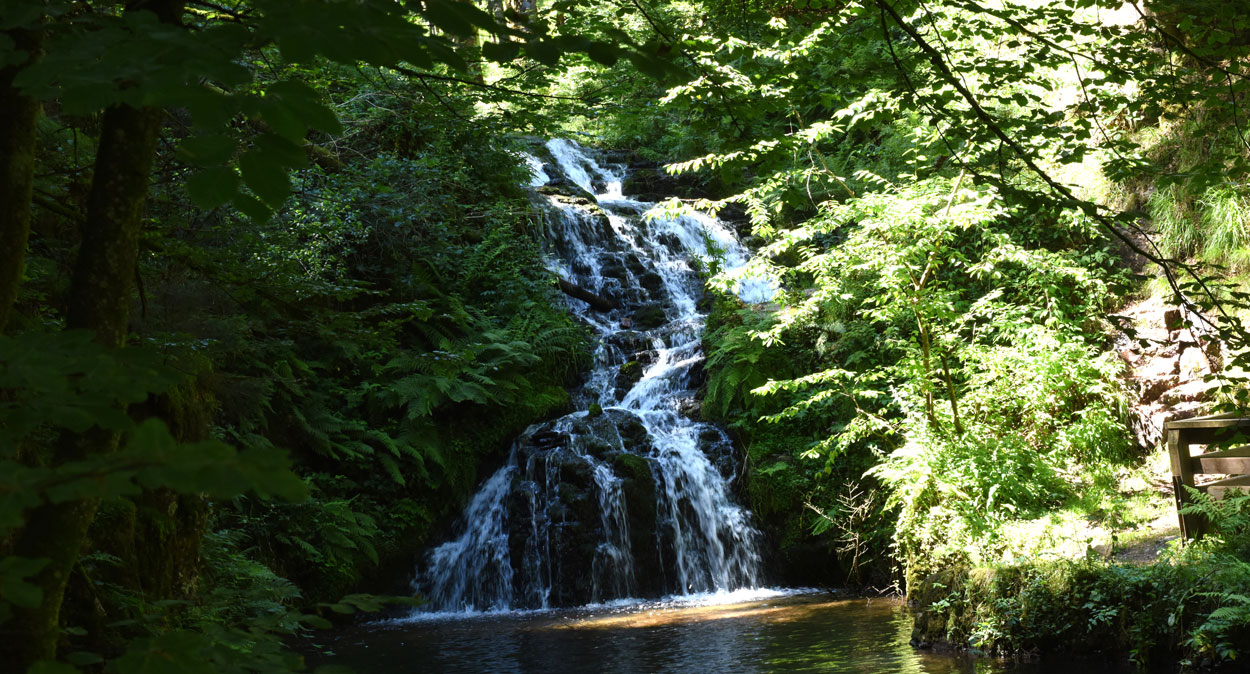 Cascade Des Vosges : Les 5 Incontournables De L’été | Détours En France