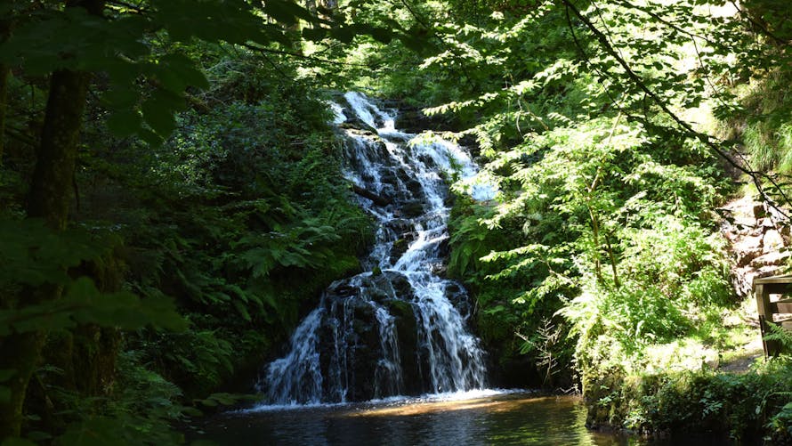 La cascade du Faymont dans les Vosges