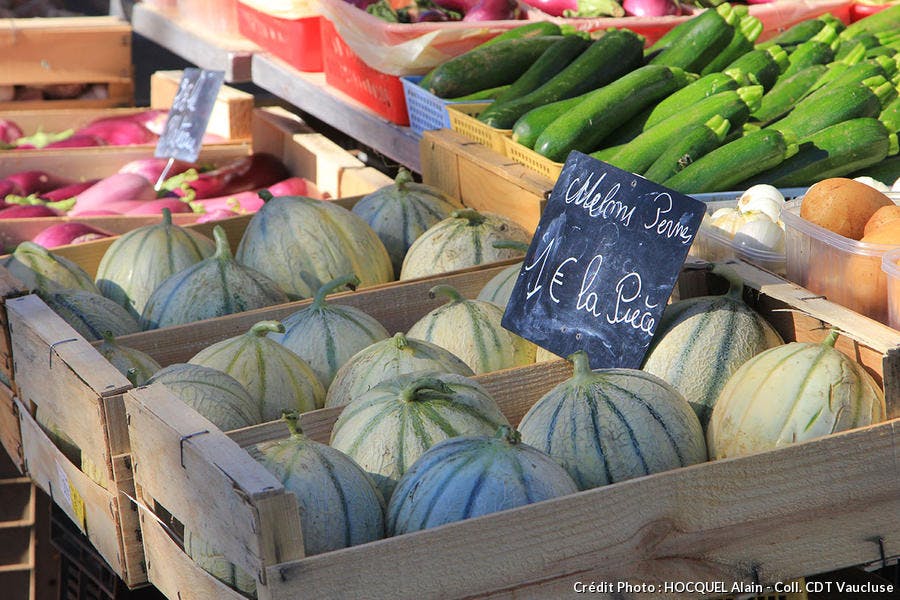 melon-vaucluse