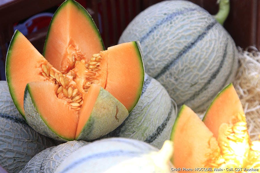 melon-vaucluse