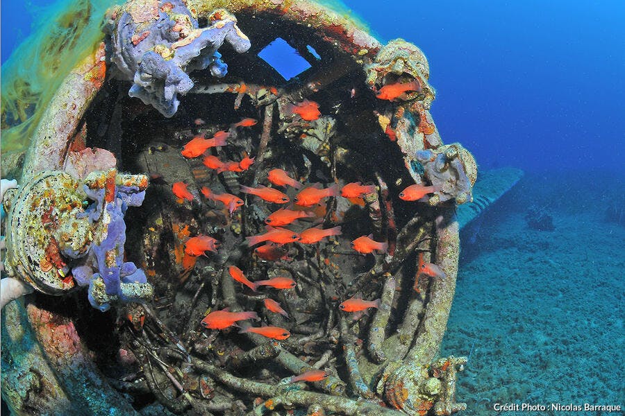 P47 dans les eaux de Bastia